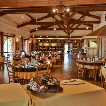 Logis Hotel Restaurant Solenca Nogaro Exteriér fotografie