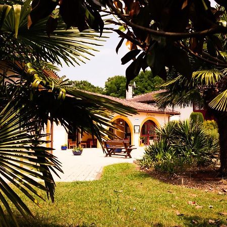 Logis Hotel Restaurant Solenca Nogaro Exteriér fotografie