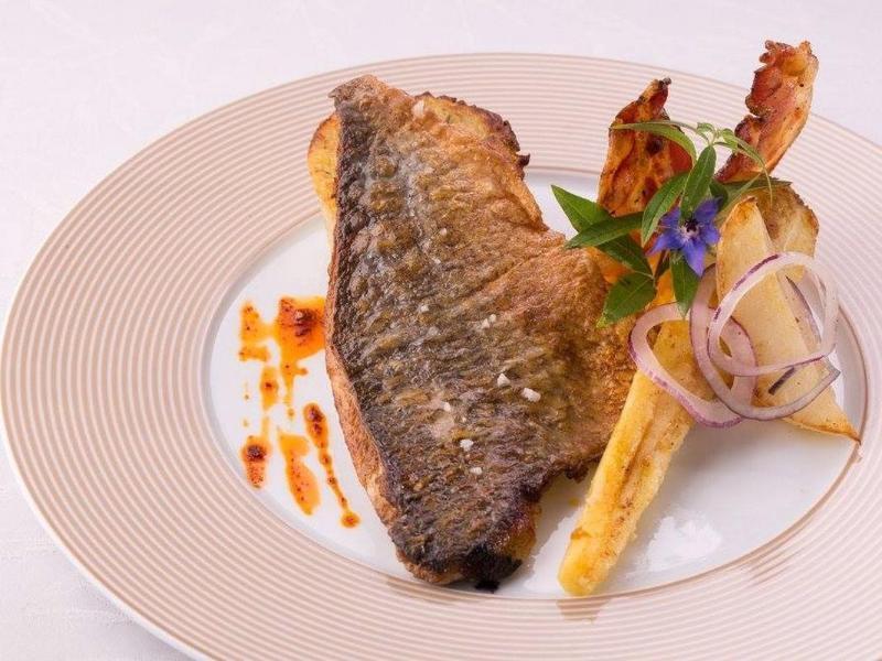 Logis Hotel Restaurant Solenca Nogaro Exteriér fotografie